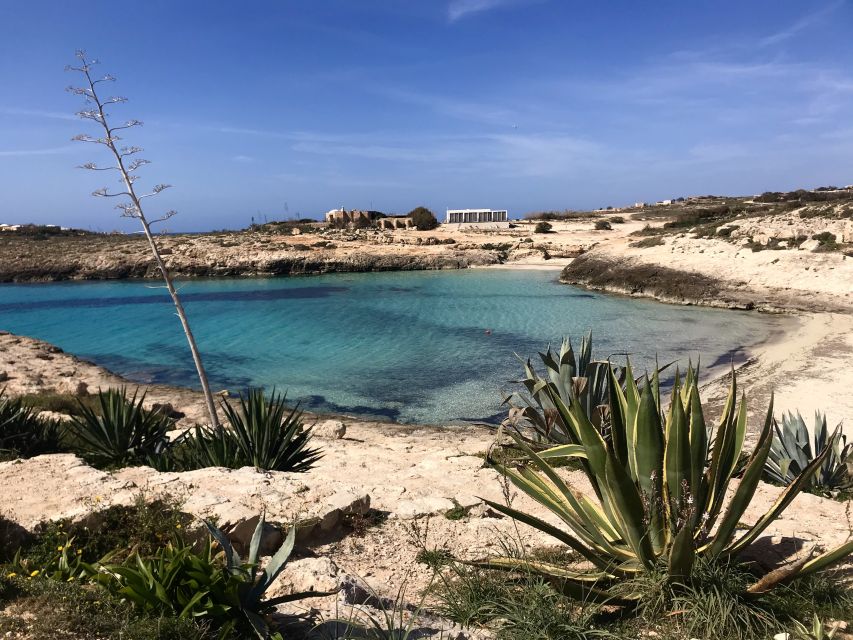 5 hours Lampedusa: Boat Tour with panino SUP e snorkeling - Price and value: what you get for $62.63 in 5 hours