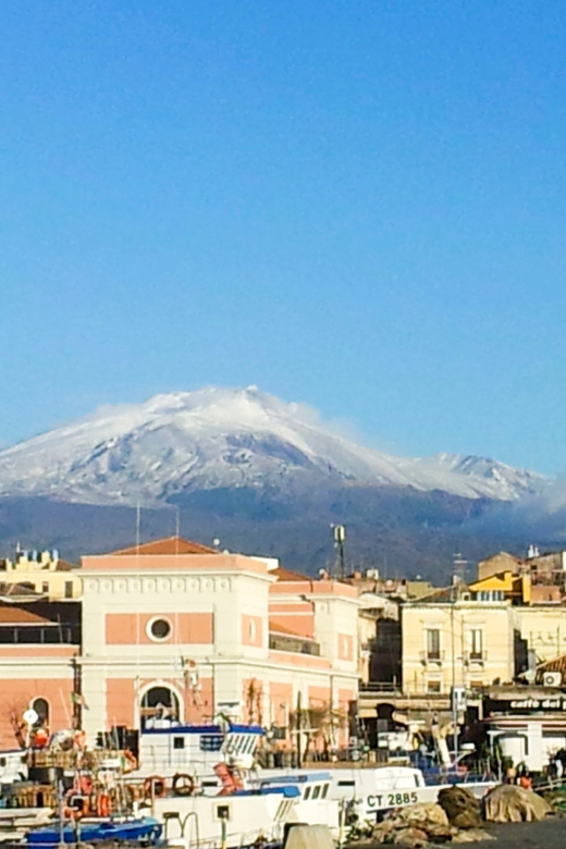 6-Hour Mount Etna Excursion - Monti Rossi and the 1669 eruption, seen as rock you can stand near