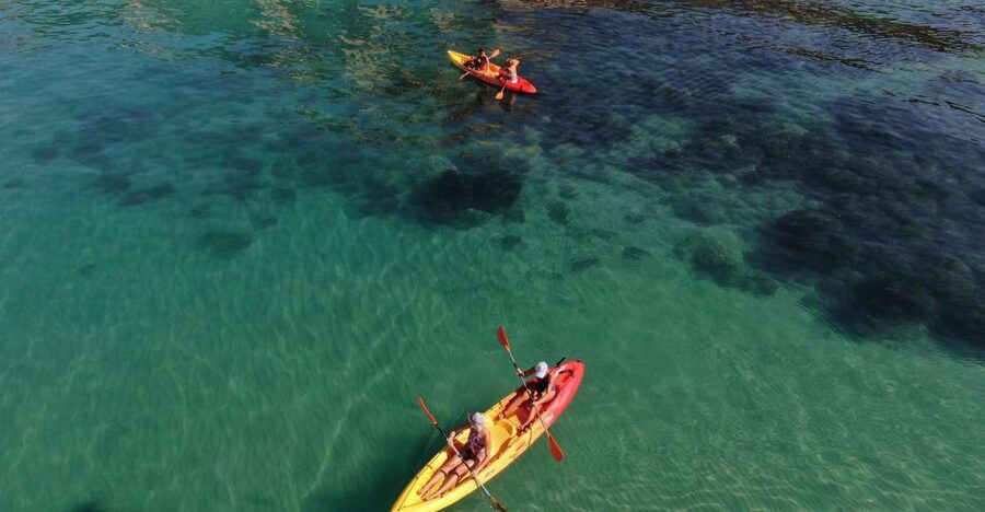 AGRIGENTO Kayak Tour alla Riserva Naturale di Torre Salsa - Marine life, protected water, and what the guide teaches you to notice