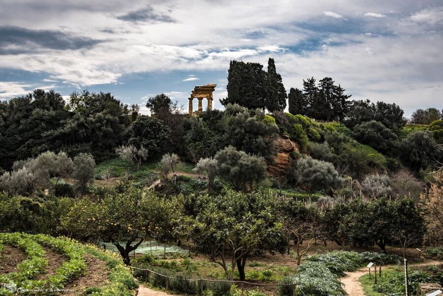 Agrigento Valley of the Temples and Kolymbethra Private Tour - Meeting at Tempio di Giunone and Getting a Smooth Start