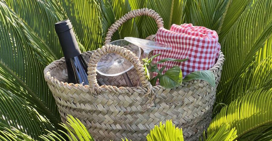 Agrigento: Valley of the Temples Gardens Picnic Experience - Key takeaways before you go