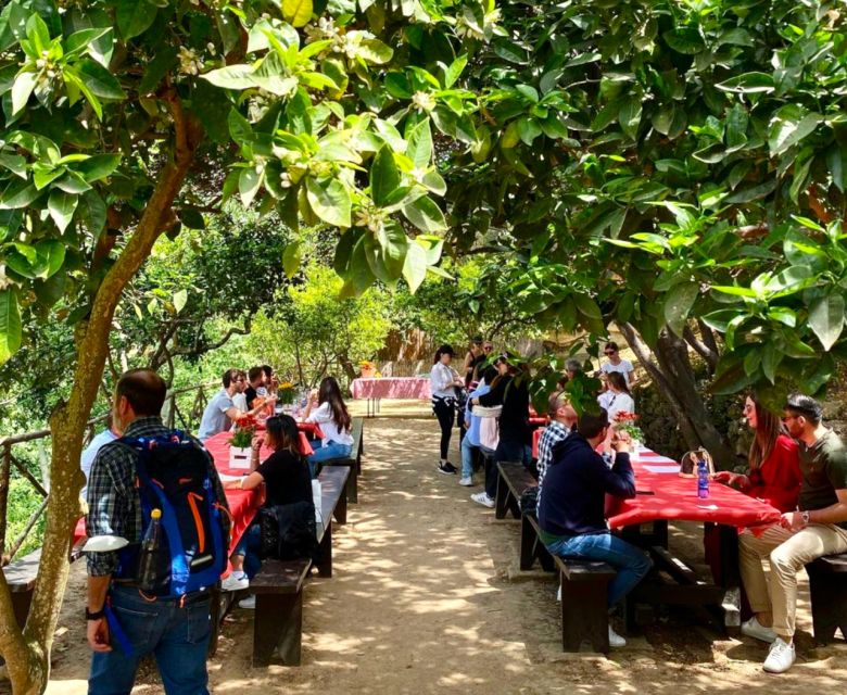 Agrigento: Valley of the Temples Gardens Picnic Experience - Practical tips to make your picnic go smoothly
