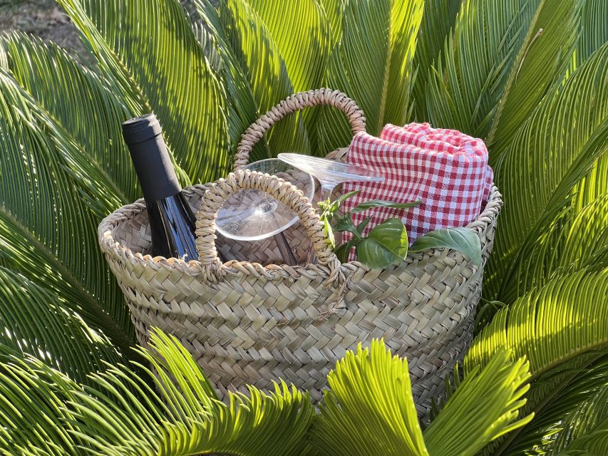 Agrigento: Valley of the Temples Gardens Picnic Experience - What’s in the picnic basket: Sicilian classics you can actually taste