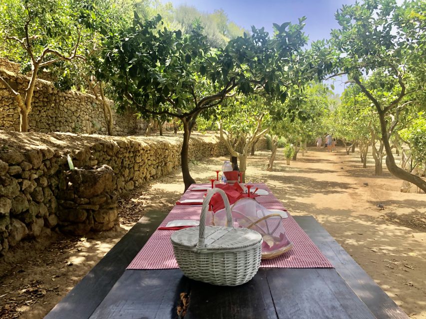 Agrigento: Valley of the Temples Gardens Picnic Experience - Who should book this picnic (and who should skip it)
