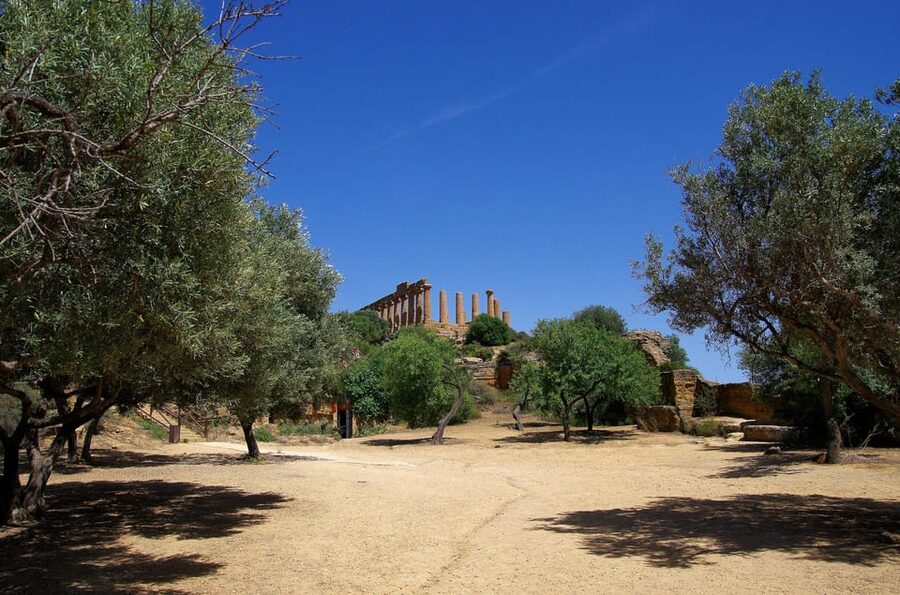 Agrigento: Valley of the Temples Private Archeological Tour - What your private guide adds (and why it shows up in top reviews)