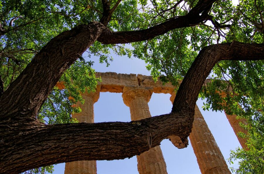 Agrigento: Valley of the Temples Private Archeological Tour - Practical tips that make the walk easier