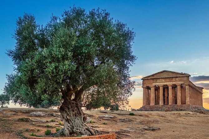 Agrigento; Valley of the Temples, Scala dei Turchi from Palermo, Private Tour - Scala dei Turchi Cliffs: White Steps, Climb-Down Time, and Photo Strategy