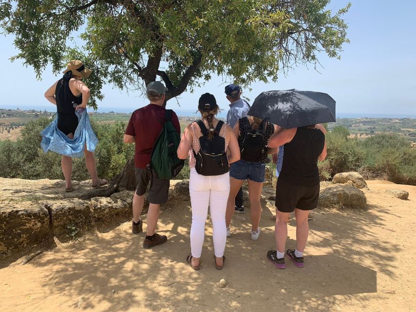 Agrigento: Valley of the Temples Tour Skip-the-Line Entry - The temples you will see, and what to notice