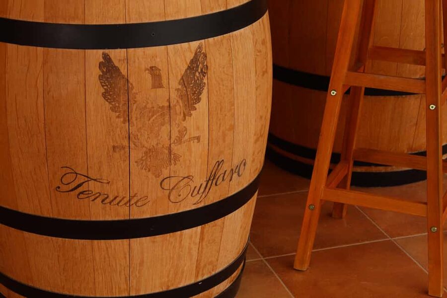 Agrigento: Wine tasting and walk in the vineyards. - Pickup by van from 6 locations, and why it matters for value