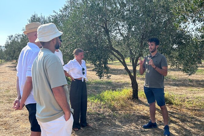 Balestrate Olive Grove Tour: Wine and Olive Oil Tasting - Why This Olive Grove Tour Feels Like Real Sicilian Hospitality