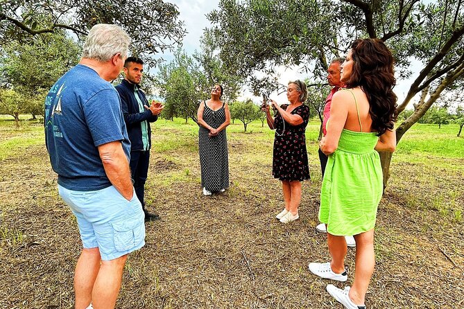 Balestrate Olive Grove Tour: Wine and Olive Oil Tasting - From Olives to EVOO: What You Actually Learn During the Tour