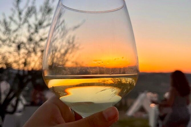 Balestrate Olive Grove Tour: Wine and Olive Oil Tasting - Price and Value: Is $67.72 Worth It?