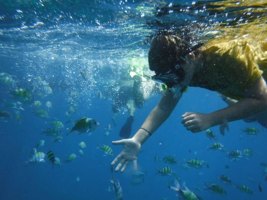 Boat tour from Avola to Portopalo with visit of Marzamemi - Avola to Portopalo by boat, with Marzamemi built in