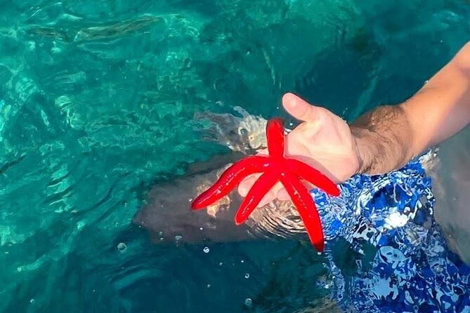 Boat tour Giardini Naxos Taormina Isola Bella Blue Grotto - Blue Grotto and cave stops: what to expect without disappointment
