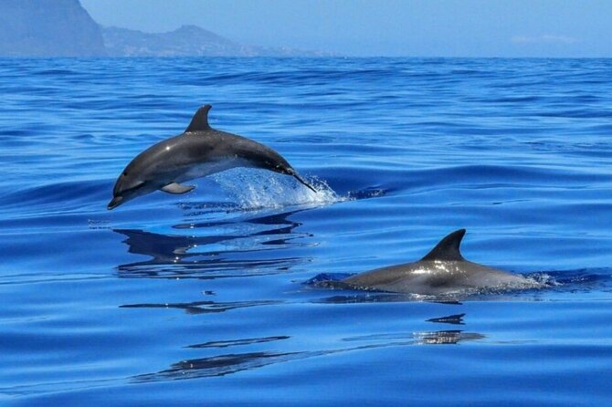 Boat tour Giardini Naxos Taormina Isola Bella Blue Grotto - Boat comfort and group vibe on Kristal Boat