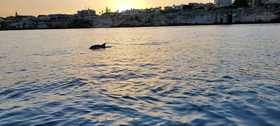 Boat Tour with Lunch on board - From Syracuse sea caves to Plemmirio Gulf of Pillirina