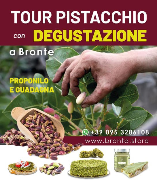 Bronte: Tour e degustazione nelle piantagioni di pistacchi - Price and value: what $58 buys you in real terms