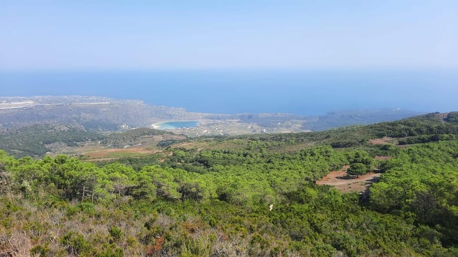 calice in cratere - Why an Active Crater Wine Tasting on Pantelleria Works So Well