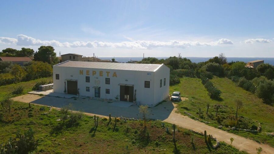 CASA NEPETA: Botanical Walk, Amari Production, and Tasting - Testa dellAcqua, a herb walk that sets up the tasting