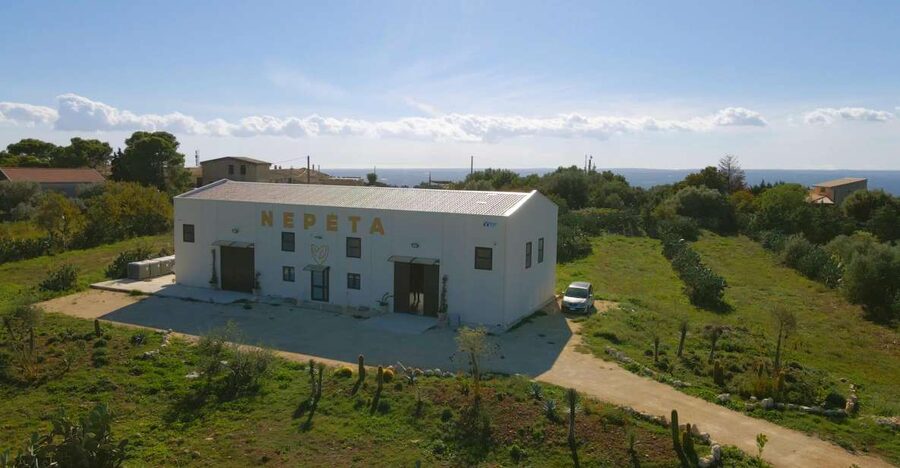 CASA NEPETA: Botanical Walk, Amari Production, and Tasting - Nepitella, marjoram, wild thyme, and the amari they become