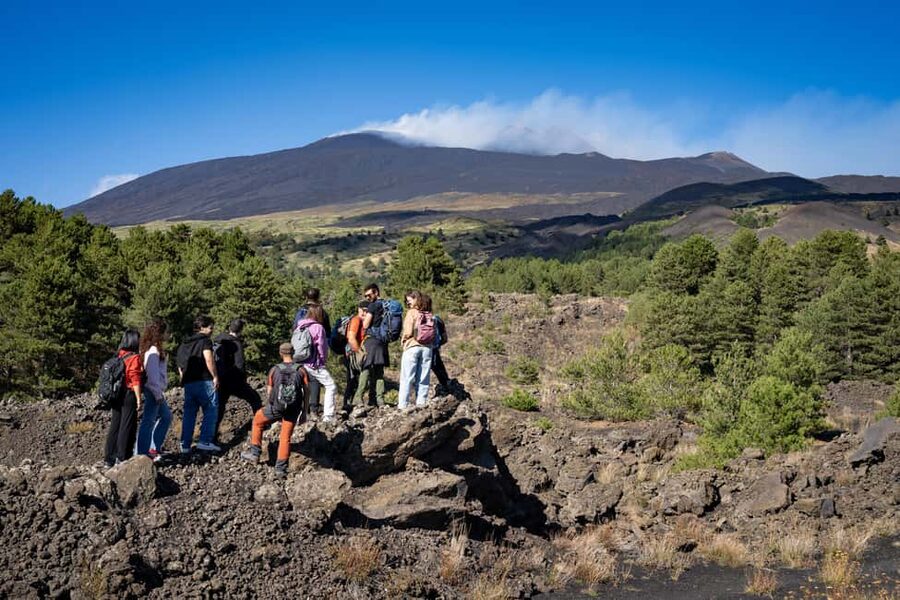 Catania: Amazing Etna Morning Tour with Pickup and Drop-Off - Getting from Catania to Etna without the headache