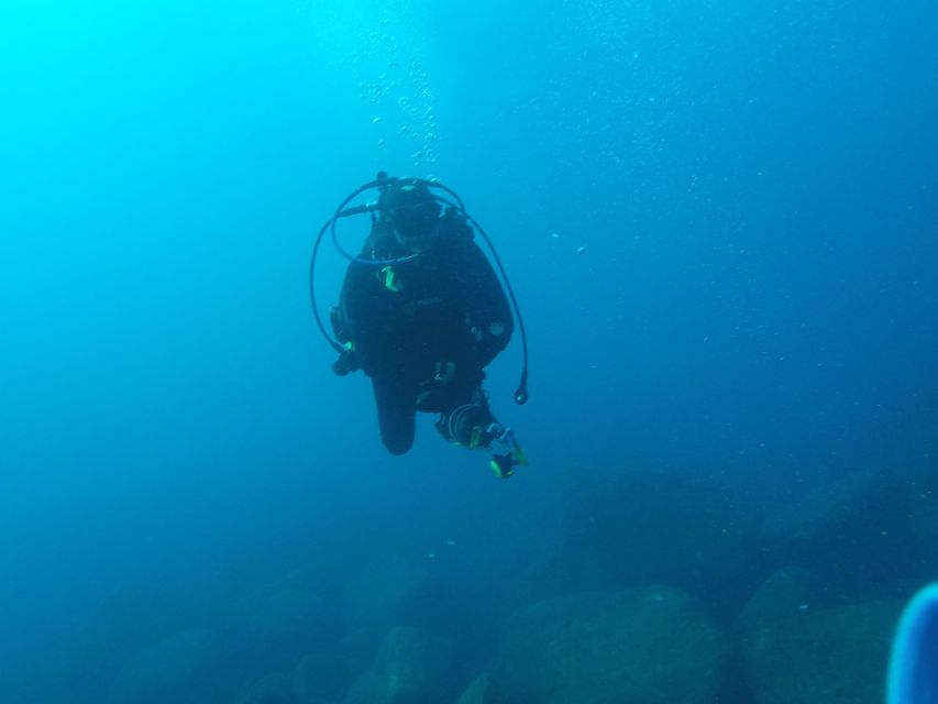 Catania : Diving for patented divers - Should you book Catania scuba for Isole Ciclopi? My decision guide