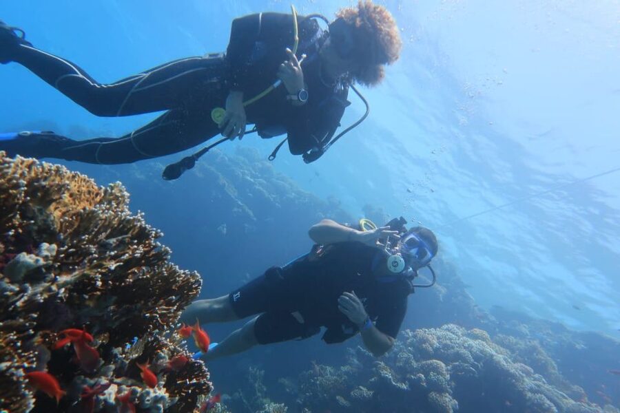 Catania : Diving for patented divers - Price and value: what $71 gets you and why it matters