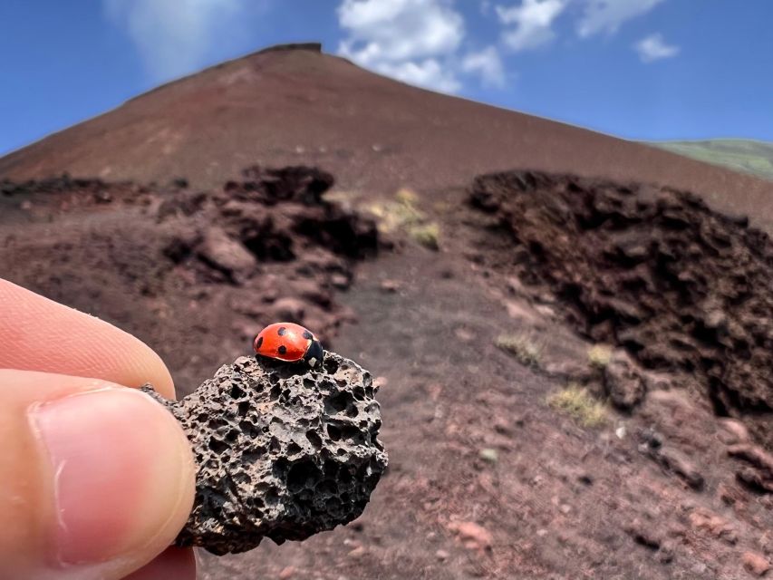 Catania: Etna Morning Excursion with Tasting and Pickup - How the 6 hours feels in real life