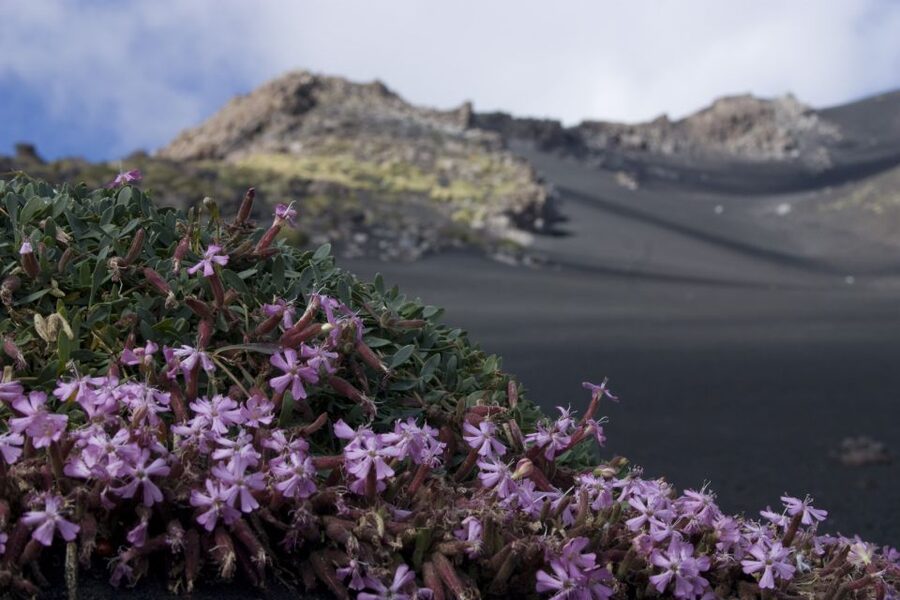 Catania: Etna Morning or Sunset Trek with Lava Tunnel & Gear - Entering a lava tube: helmets, flashlights, and the physics of silence