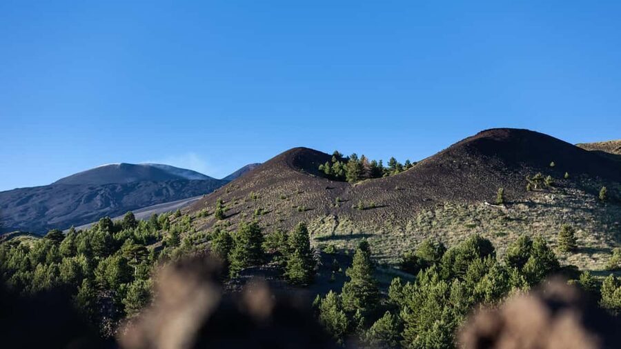 Catania: Etna Nature Tour with Hiking, Cave Visit, & Tasting - The farm tasting: honey, olive oil, and wine you can actually use