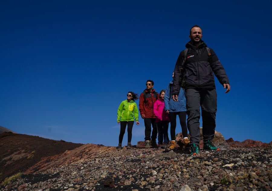 Catania: Guided Tour of Etna with Farm Visit & Food Tasting - Price and Logistics, Is $81 Worth It?