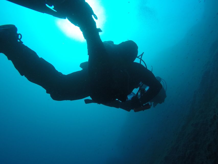 Catania: Gulf Scuba Diving Tour with Marine Biologist - Timing and How It Feels in Real Life