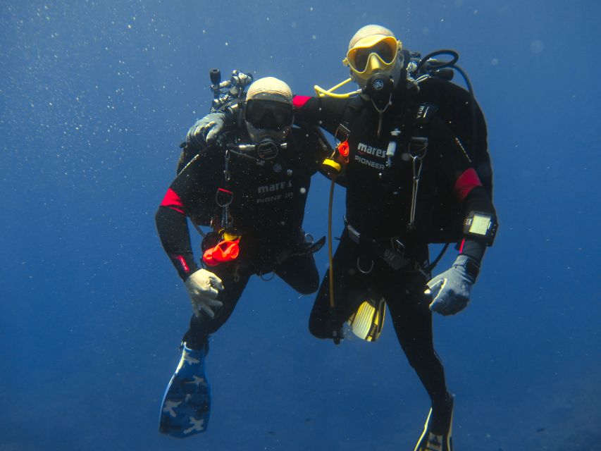 Catania: Gulf Scuba Diving Tour with Marine Biologist - Where the Gulf of Catania Gets Its Wow Factor