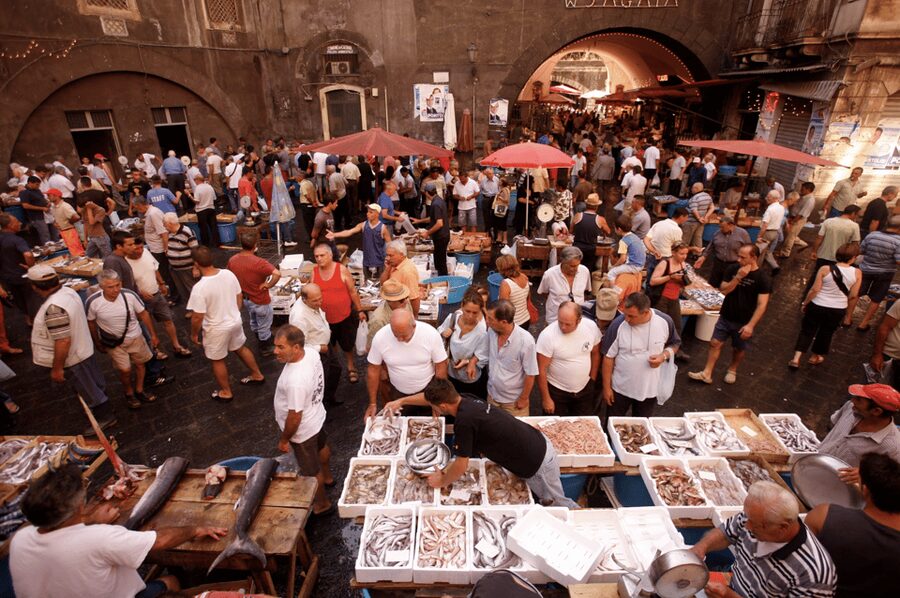 Catania Historic center Walking tour - Piazza dell’Università, Piazza Dante, and Piazza Vincenzo Bellini
