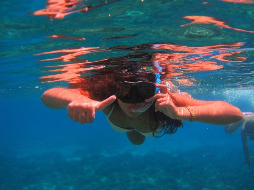 Catania, Isole Ciclopi: Snorkeling Trip - Isole Ciclopi protected waters: the sea life part you’ll actually remember