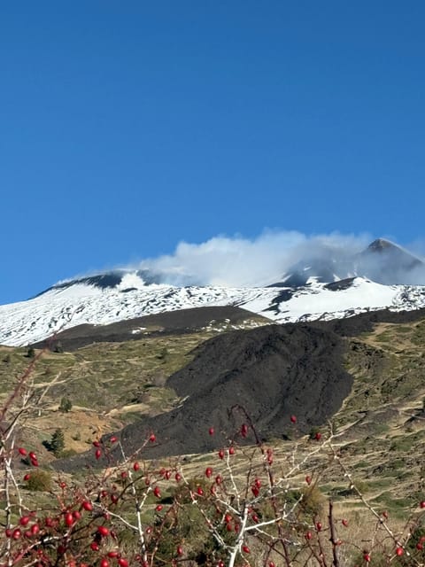 Catania: Morning Jeep Tour of Mount Etna and Lava Flow Caves - Valle del Bove: the eastern lava desert view