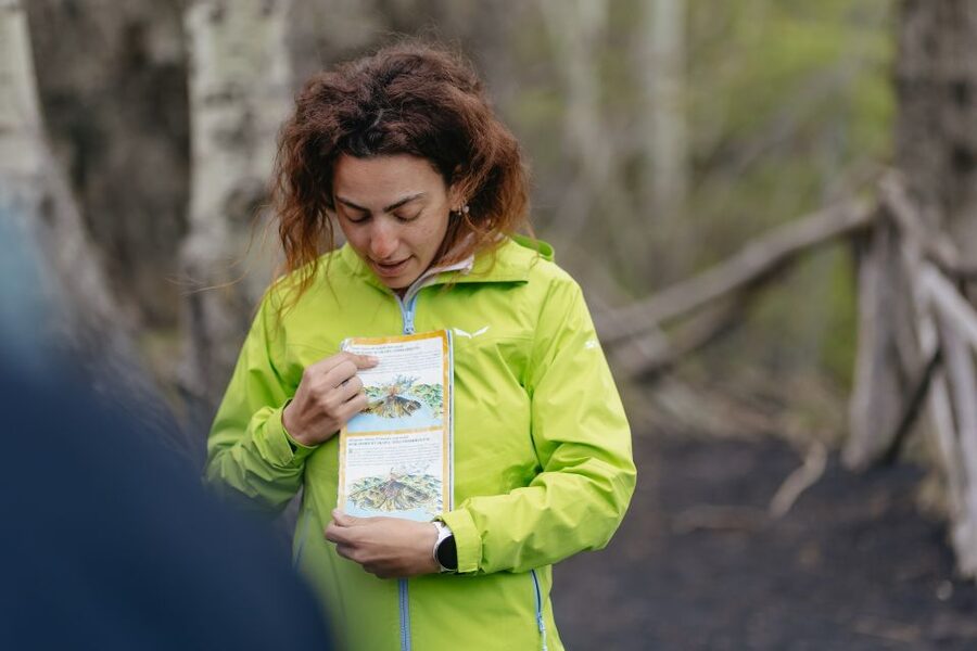 Catania: Mount Etna Morning or Sunset Day Trip with Tasting - Why this Mount Etna trip feels more “doable” than you expect