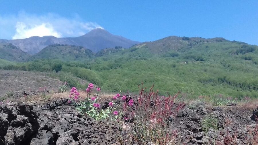 Catania: Mount Etna Sunset Tour and Etna Doc Wine - Mount Etna at Sunset, Not Just a Drive-by