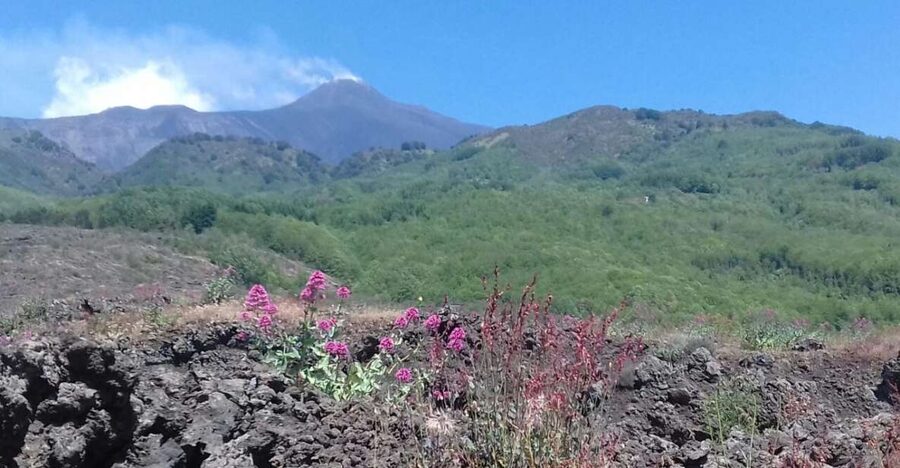 Catania: Mount Etna Sunset Tour and Etna Doc Wine - Piano Vetore: Wine, Snacks, and the Real Sunset Moment