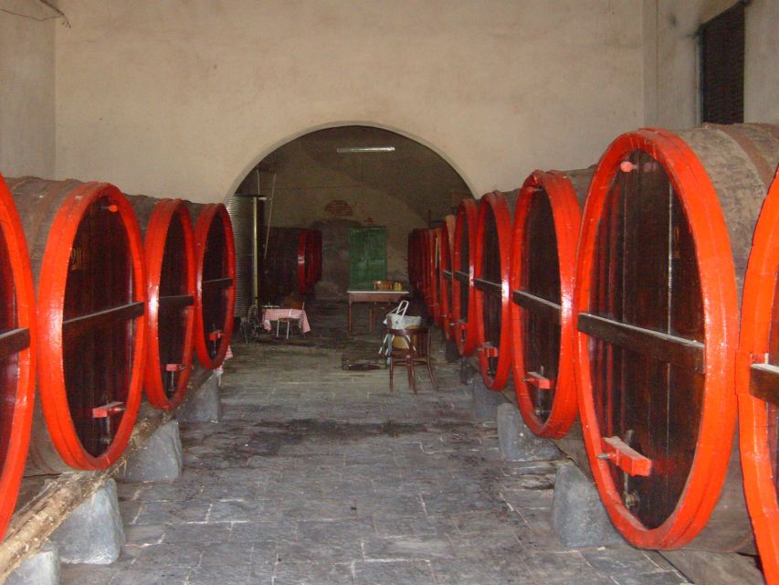 Catania: Pozzo di Gaspare Farm Guided Tour with Tastings - Key Things You’ll Notice at Pozzo di Gaspare