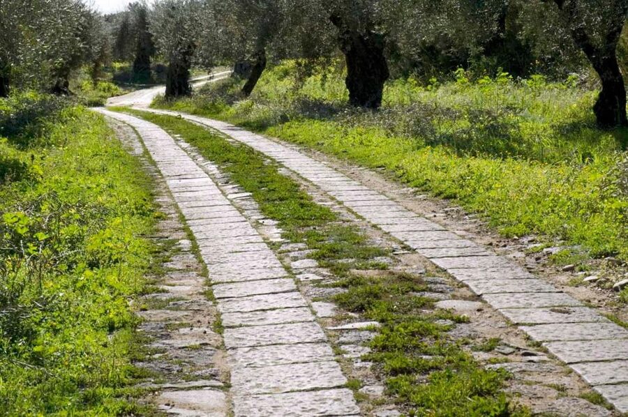Catania: Pozzo di Gaspare Farm Guided Tour with Tastings - Why This Tour Feels Like Sicily, Not Just a Photo Stop
