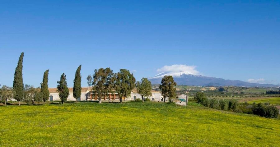 Catania: Pozzo di Gaspare Farm Guided Tour with Tastings - Price and Value: Is 41 USD for 2 Hours a Good Deal?