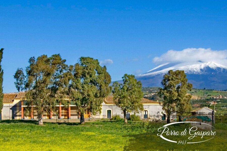 Catania: Pozzo di Gaspare Farm Guided Tour with Tastings - Getting There From Catania and the Airport, Without Stress