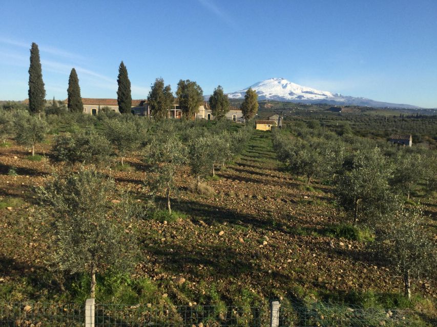 Catania: Pozzo di Gaspare Farm Guided Tour with Tastings - Best Months to Go, What to Pack, and How to Enjoy the Outdoors