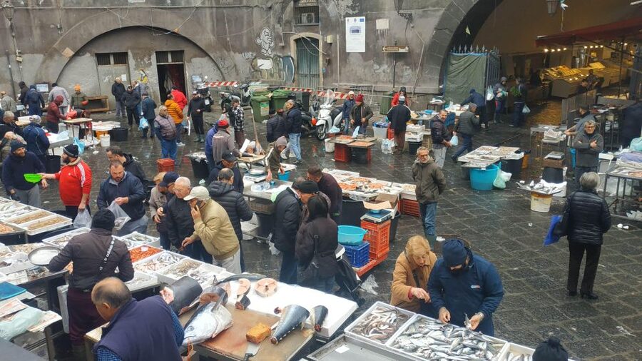Catania Street Food Tour: Fish Market & City Centre - Dietary Fit and Allergy Reality Check (What Works, What Doesn’t)