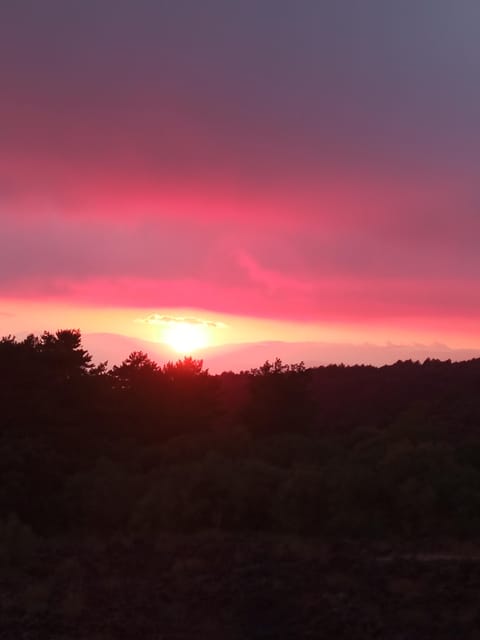 Catania: Sunset Trekking on Mount Etna with Wine Tasting - Piano Vetore at golden hour: the wine-and-snacks break that ties it together