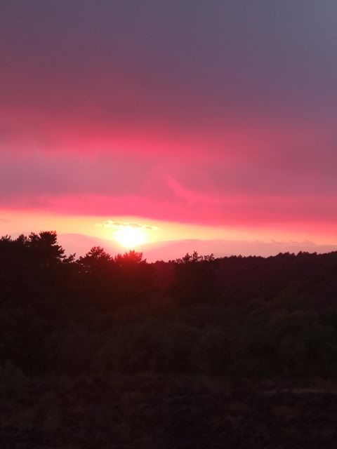 Catania: Sunset Trekking on Mount Etna with Wine Tasting - Price and value: what you are really paying for at $78.17