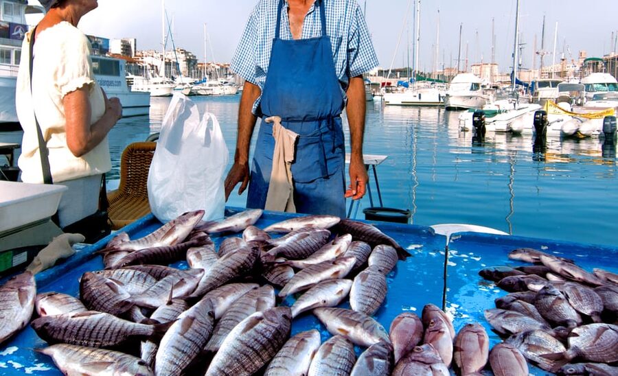 Cefalù: Market Tour and Meal at a Local's Home - How the Cesarina market tour really helps you shop and taste