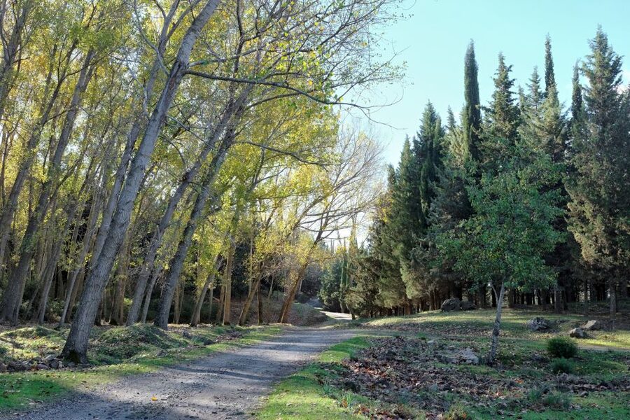 Cesarò: Full Day Tour of Nebrodi Park in a 4x4 - Key things to know before you go