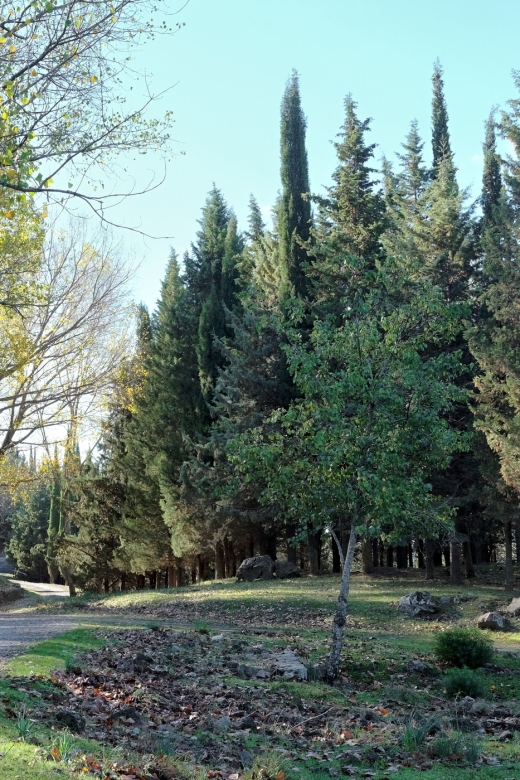 Cesarò: Full Day Tour of Nebrodi Park in a 4x4 - How the 4x4 setup shapes your comfort and your day